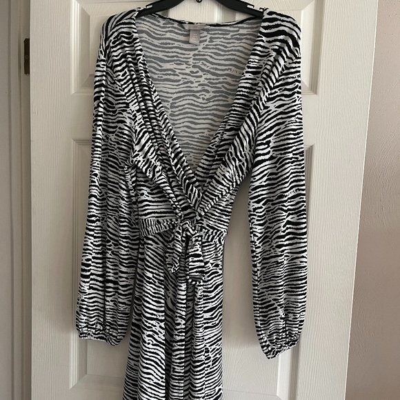 H & M Zebra Print Dress - Picture 1 of 4